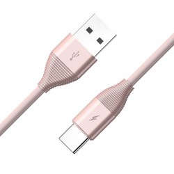 Câble USB Type-C 1mt TOTUDesign Fruitful Series